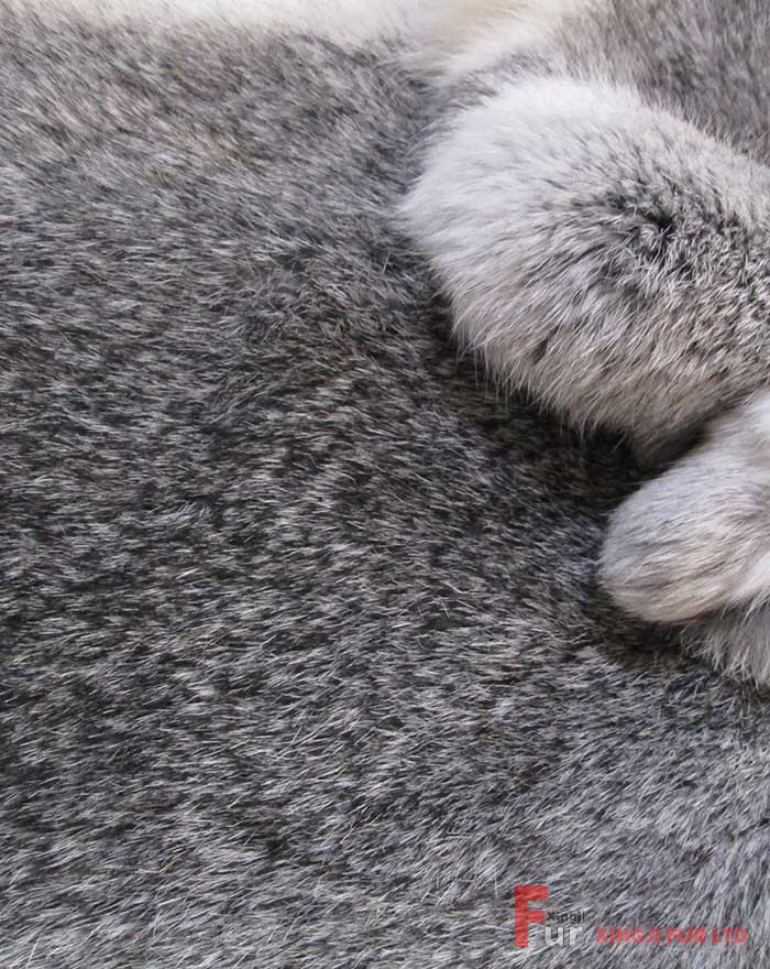 Natural Genuine Raw Chinchilla Rabbit Fur Pelt Plate Real Black Rex Rabbit  Skin - China Raw Rabbit Skin and Real Fur Skin price